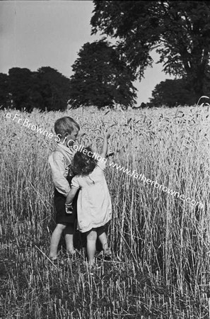 MACEVOY CHILDREN IN CORNFIELD